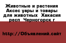 Животные и растения Аксесcуары и товары для животных. Хакасия респ.,Черногорск г.